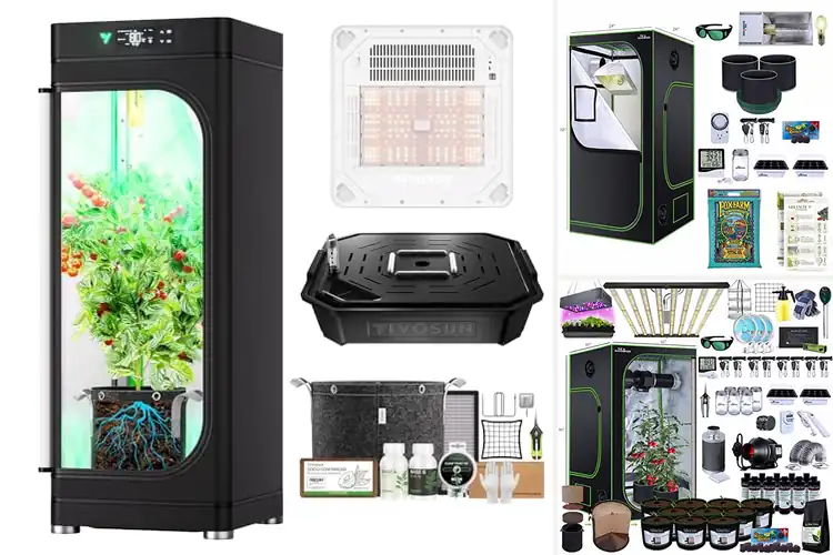Detailed view of Best Allinone Grow Setups