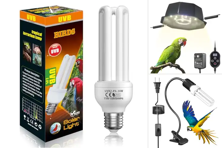 Detailed view of Best Bird Behavior Stimulating Lights