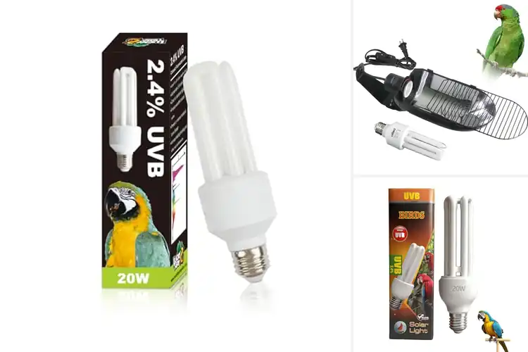 Detailed view of Best Bird Cage Bulbs
