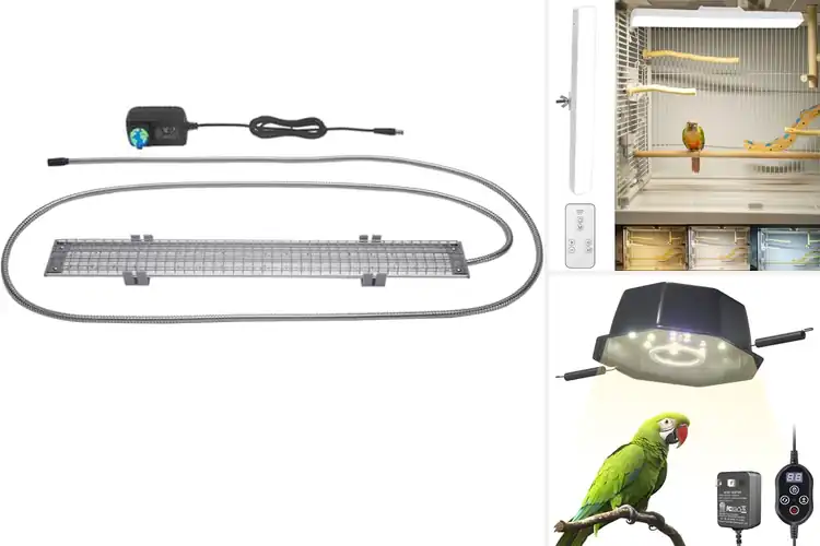 Detailed view of Best Bird Cage Lighting