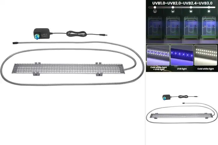 Detailed view of Best Bird Cage Lights