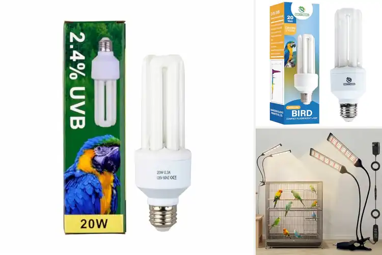 Detailed view of Best Bird Health Lamps: Brighten Feathers, Boost Wellness