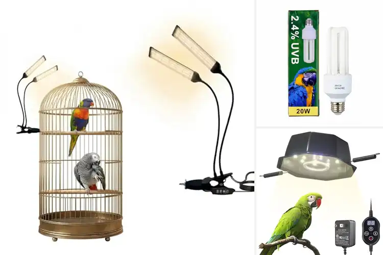 Detailed view of Best Bird Health Lights