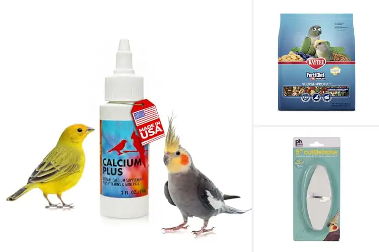 Detailed view of Best Bird Health Products