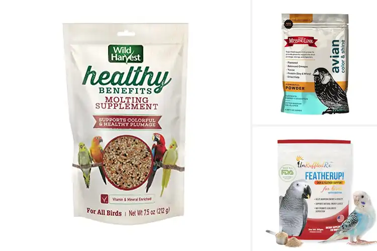Detailed view of Best Bird Health Supplements