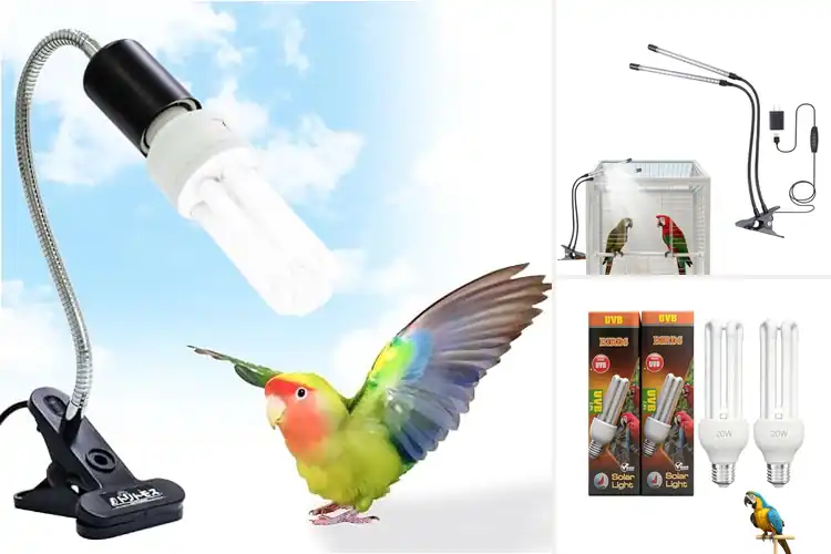 Detailed view of Best Bird Sunlight Lamps