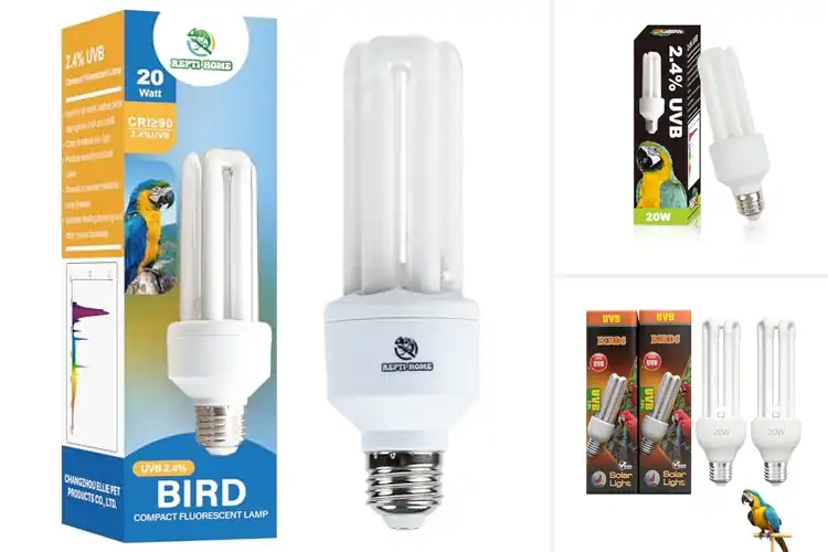 Detailed view of Best Bird UVA Bulbs: Top Picks for Healthy, Happy Birds