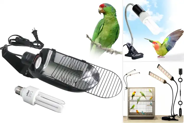 Detailed view of Best Bird UVB Light For Cage: Top Picks for Healthy Birds