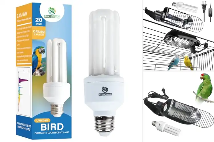 Detailed view of Best Bird UVB Lights: Top 10 Picks for Happy, Healthy Birds