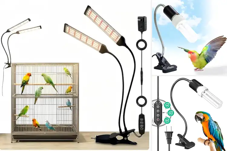 Detailed view of Best Bird Vitamin D3 Lamps: Healthy Feathers, Happy Birds