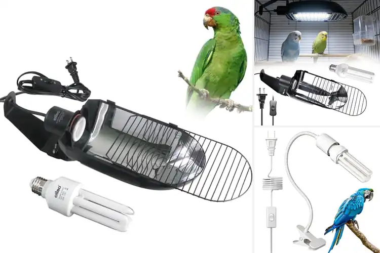 Detailed view of Best Captive Bird Lamps: Top 10 Picks for Healthy Feathers