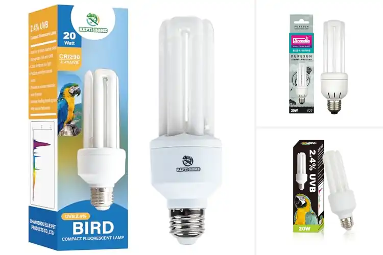 Detailed view of Best Compact Bird Lamps: Brighten Your Bird’s Life Naturally