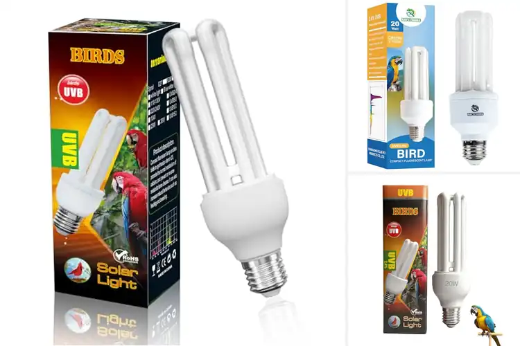 Detailed view of Best Compact Bird Light Bulb For Cages
