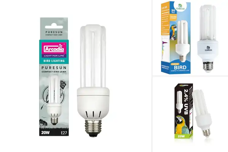 Detailed view of Best Compact Bird Lights