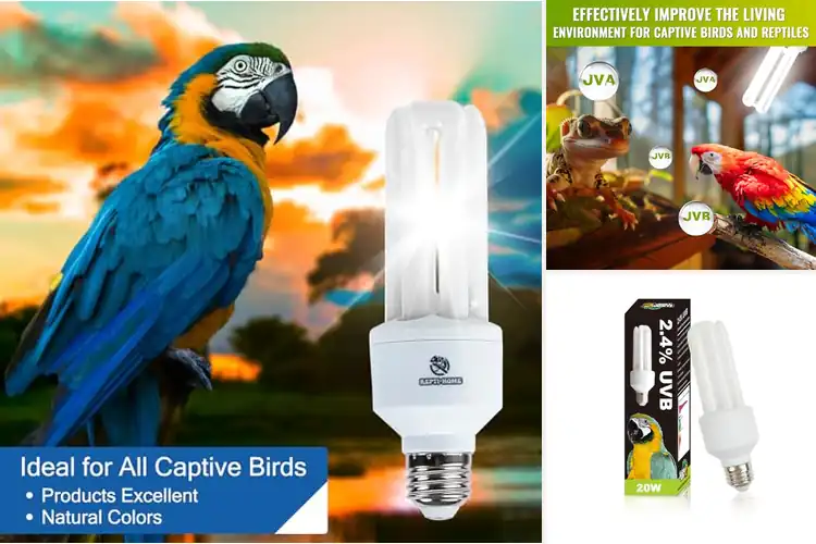 Detailed view of Best Compact Fluorescent Bird Lights