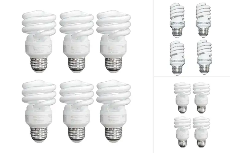 Detailed view of Best Compact Fluorescent Bulbs