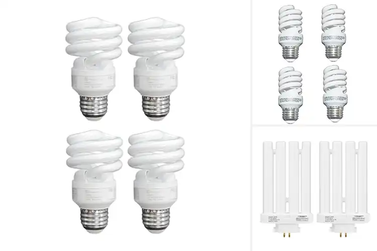Detailed view of Best Compact Fluorescent Lamps