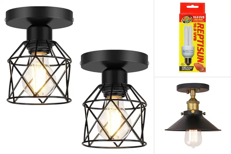 Detailed view of Best Compact Lamp Fixtures