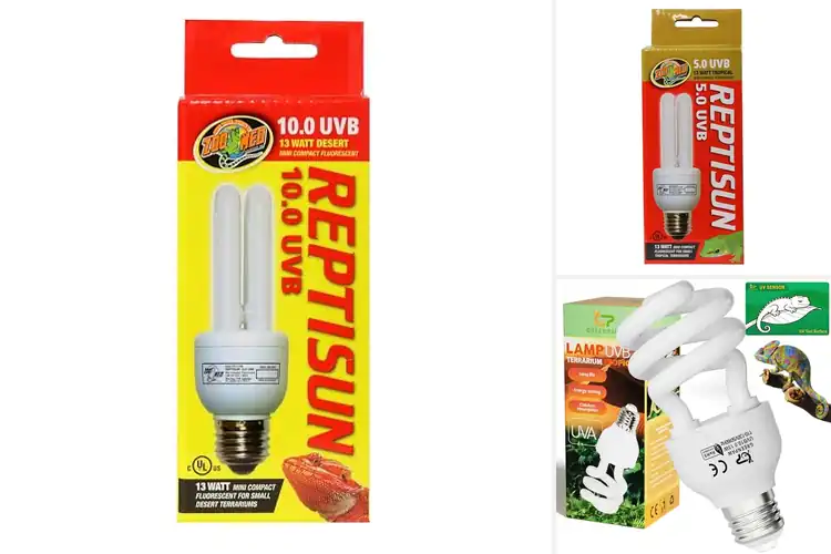 Detailed view of Best Compact UVB Lamps: Top 10 Picks for Healthy Pets