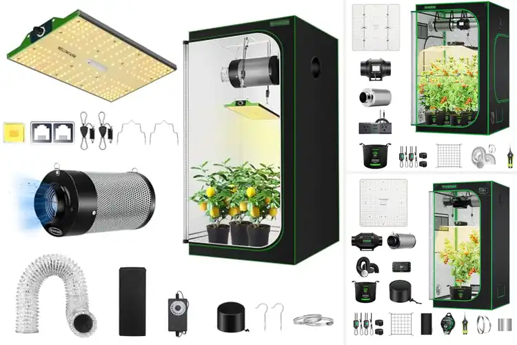Detailed view of Best Complete Grow Tent Bundles