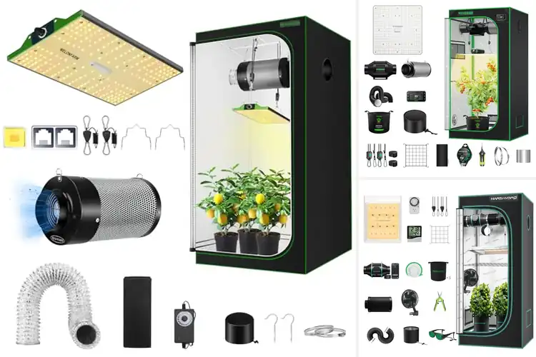 Detailed view of Best Complete Grow Tent Setups