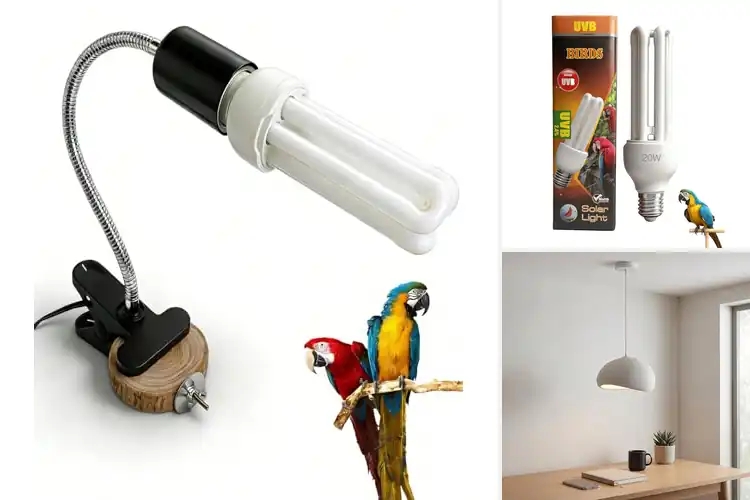 Detailed view of Best E26 Base Bird Lamp: Top Picks for Happy, Healthy Birds