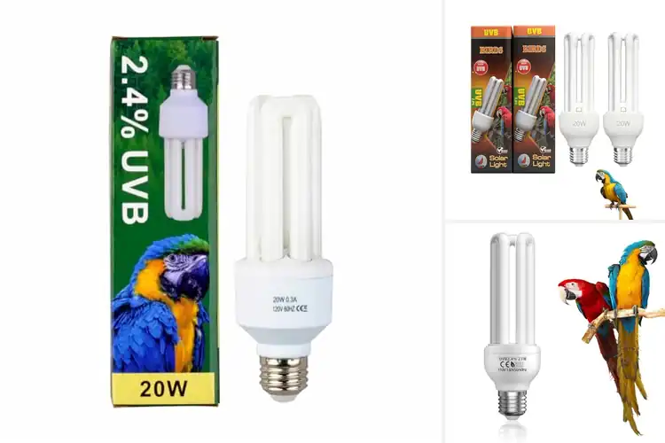 Detailed view of Best E26 Bird Light Bulbs: Healthy, Active Birds Guaranteed