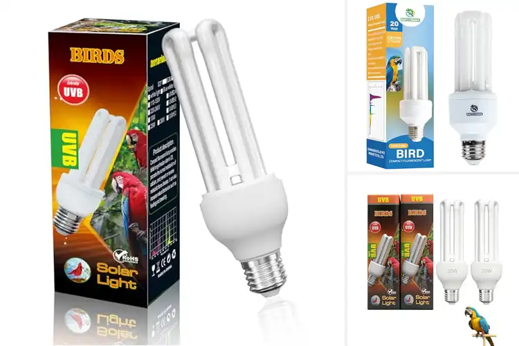 Detailed view of Best E26 UVB Bulbs For Birds