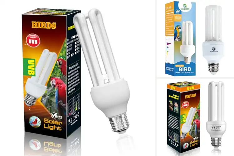 Detailed view of Best E26 UVB Bulbs for Captive Birds