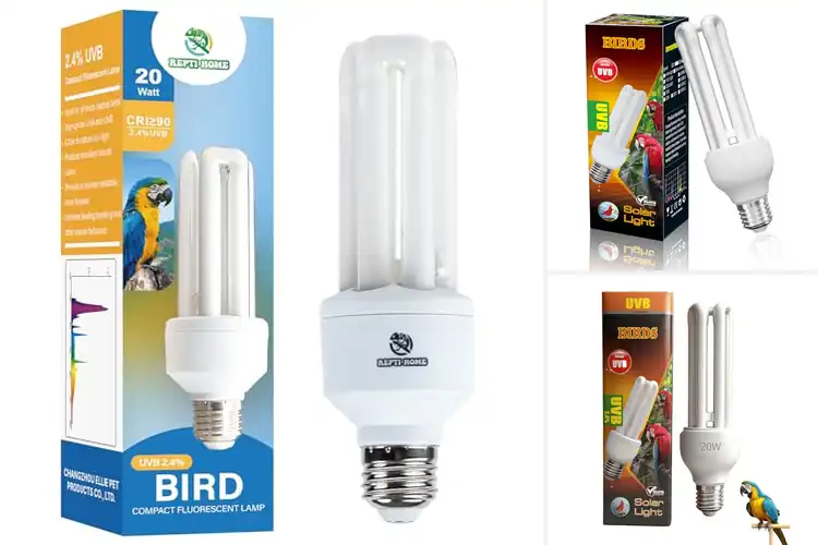Detailed view of Best E26 UVB Lamp For Bird Habitats