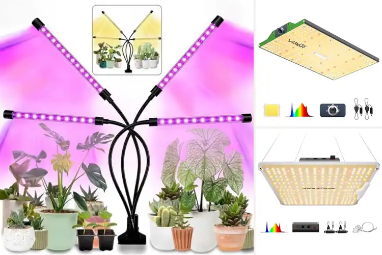 Detailed view of Best Efficiency LED Grow Lights