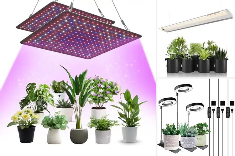 Detailed view of Best Energy Efficient Grow Lights
