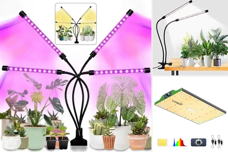 Detailed view of Best Energy Efficient LED Grow Lights