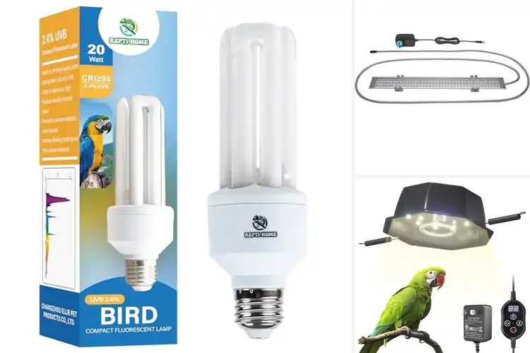 Detailed view of Best Full Spectrum Bird Lamp