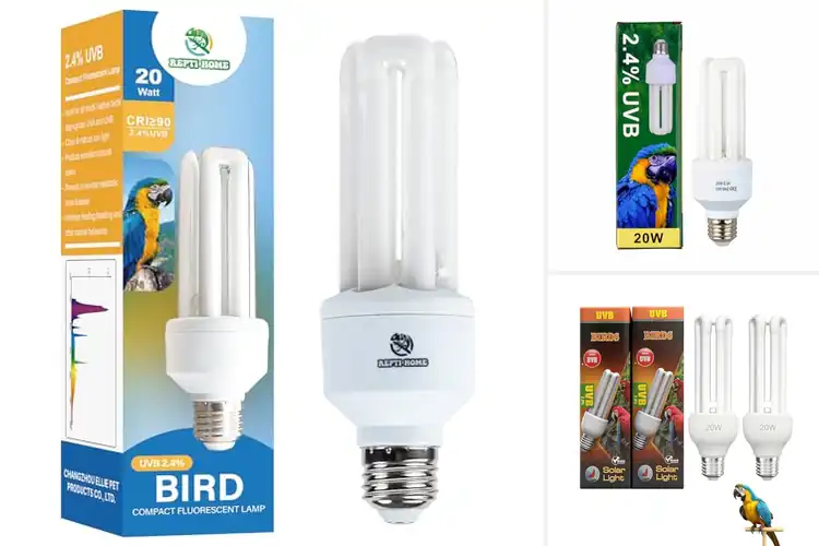 Detailed view of Best Full Spectrum Bird Light Bulb
