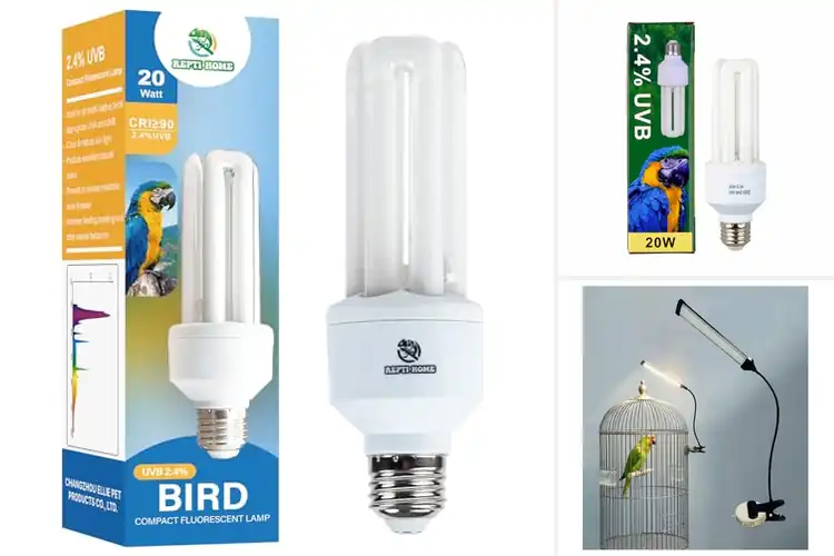 Detailed view of Best Full Spectrum Bird Lights