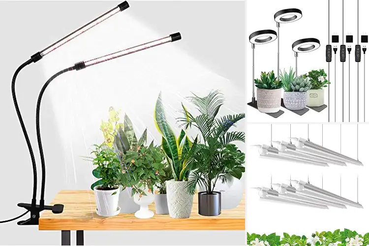 Detailed view of Best Full Spectrum Grow Lights