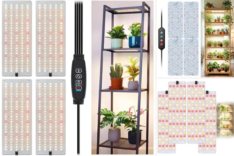 Detailed view of Best Full Spectrum LED Panels