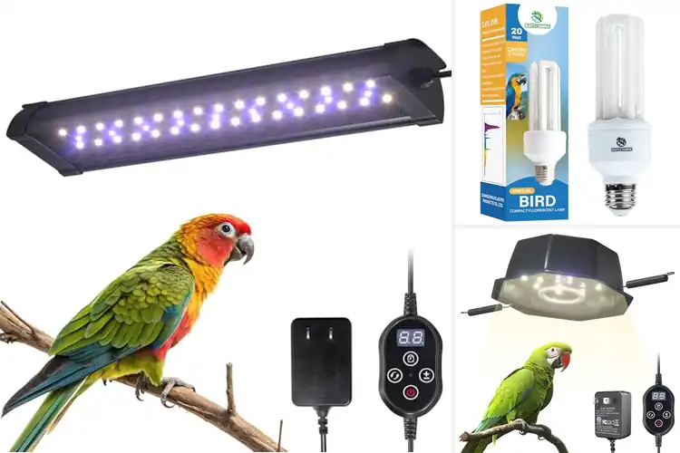 Detailed view of Best Full Spectrum Lights for Birds