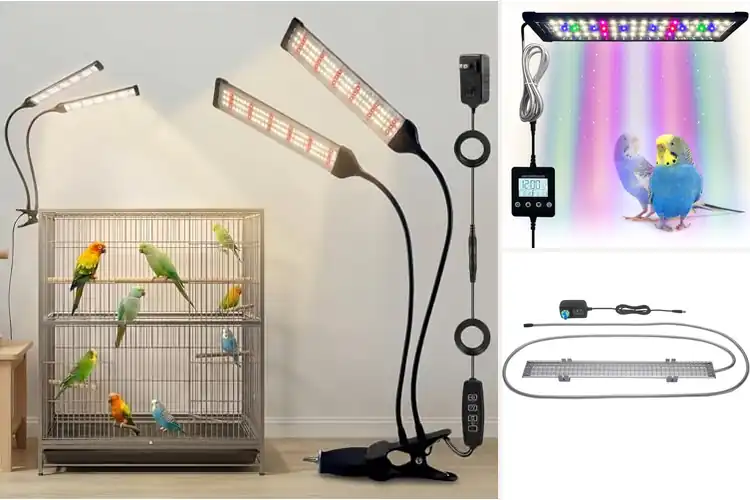 Detailed view of Best Full Spectrum Lights for Captive Birds