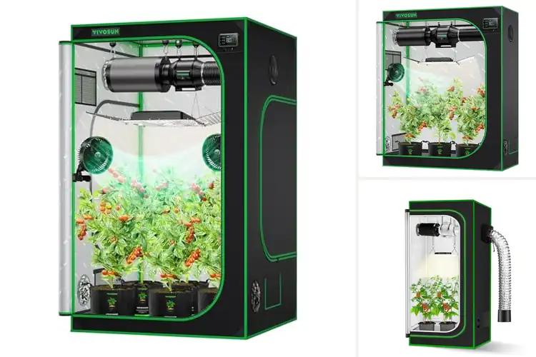 Detailed view of Best Grow Tents: Top 10 Tested to Maximize Growth