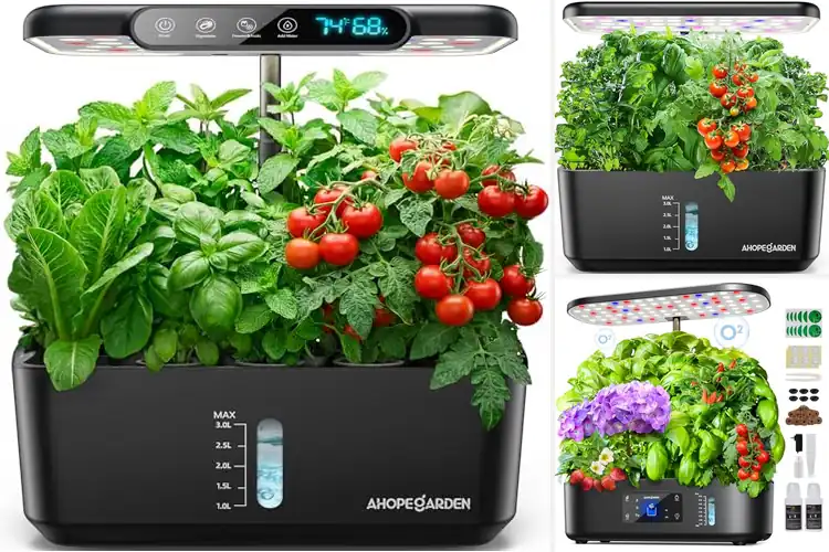Detailed view of Best Hydroponic Systems