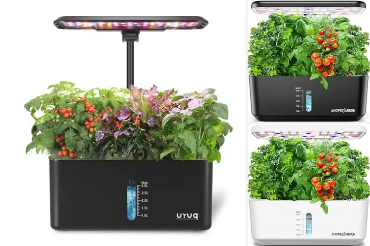 Detailed view of Best Indoor Gardening Kits