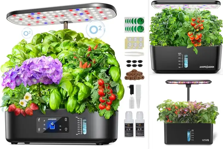 Detailed view of Best Indoor Growing Systems: Fresh Herbs & Veggies Made Easy