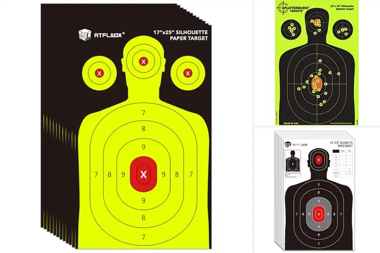 Detailed view of Best Indoor Targets