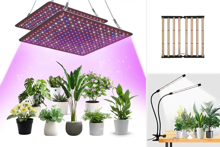Detailed view of Best LED Grow Light Systems
