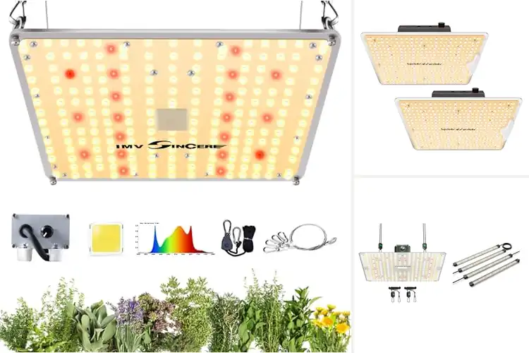 Detailed view of Best LED Grow Light With Samsung LM301 Diodes