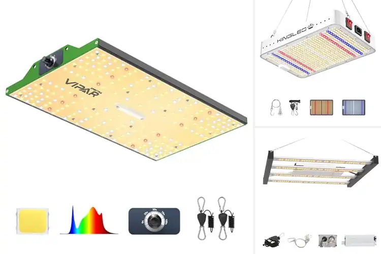Detailed view of Best LED Grow Lights For 2×2 Grow Tent