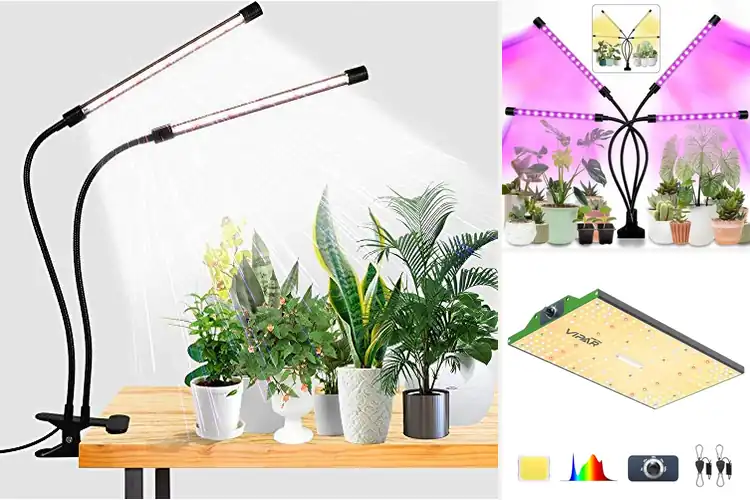 Detailed view of Best LED Grow Lights