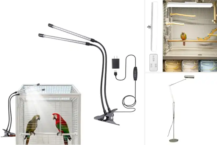 Detailed view of Best Lights for Bird Activity